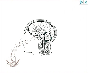 Aromatherapie