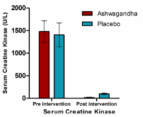 Meer spieren en minder vet door krachttraining dankzij 600 milligram ashwagandha per dag