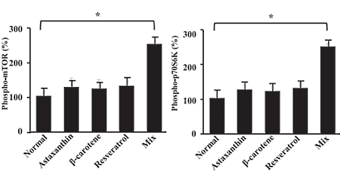 Getrainde spieren groeien misschien sneller door combinatie van resveratrol, astaxanthine en beta-caroteen