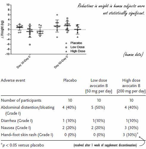 Hoe avocatin-B, de FAO-inhibitor in avocado, beschermt tegen diabetes