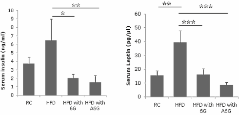 Aza-6-Gingerol, een experimenteel afslankmiddel dat is gebaseerd op gember