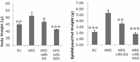 Aza-6-Gingerol, een experimenteel afslankmiddel dat is gebaseerd op gember