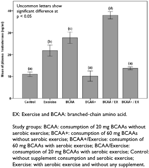 Fysieke inspanning + BCAA's = meer testosteron