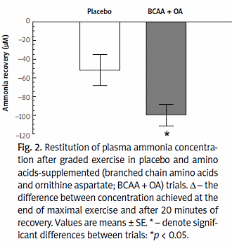 Reactiesnelheid sporters wordt groter door combinatie BCAA's en ornithine