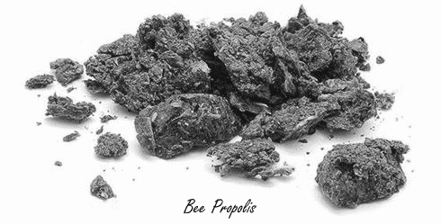 Propolis laat insuline beter werken