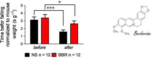 Slik berberine, leef 80 procent langer