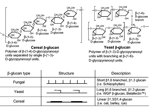 Beta-glucanen uit gist verzachten symptomen virusinfectie