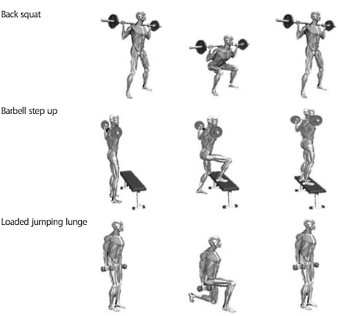 Circuittraining met gewichten levert meer op door suppletie met beta-alanine