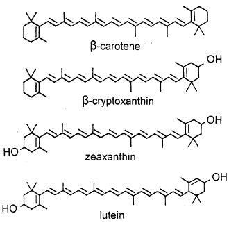 Beetje bèta-cryptoxanthin verlaagt vetpercentage