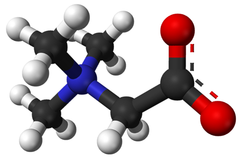 Zware training + betaine = meer testosteron