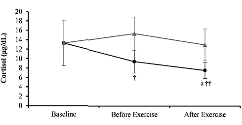 Meer testosteron, minder cortisol na krachttraining door suppletie met betaine