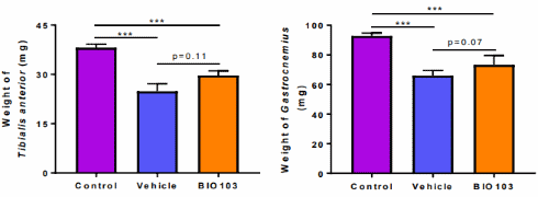 Bio103 heeft meer anabole werking dan ecdysteron