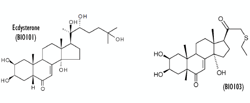 Bio103 heeft meer anabole werking dan ecdysteron