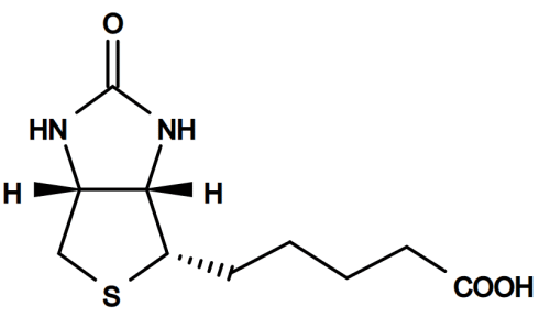 Is biotine een voel-je-goed-vitamine?