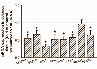 Forse - maar niet absurde - doses van de vitamine biotine verlagen de hoeveelheid triglyceriden in het bloed, en verkleinen de vetmassa. Dat ontdekten moleculaire onderzoekers van de Universidad Nacional Autonoma de Mexico, die proeven deden met muizen. Zou je biotine kunnen gebruiken als afslanksupplement?