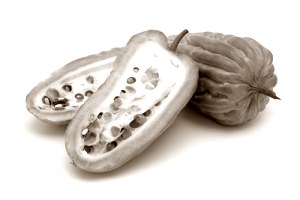 Bitter Melon als afslankmiddel