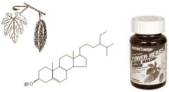 De anabole werking van Bitter Melon