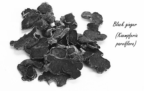 Dimethoxyflavone uit zwarte gember is een verjongingsmedicijn voor spieren