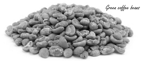 Het bescheiden afslankeffect van chlorogeenzuur