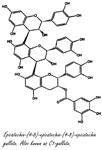 VASO6, de raadselachtige NO-booster uit groene thee