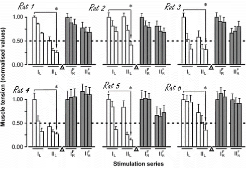 C60 maakt spieren onvermoeibaar