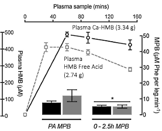 Anabole werking van ouderwetse vorm van HMB gelijk aan die van HMB Free Acid