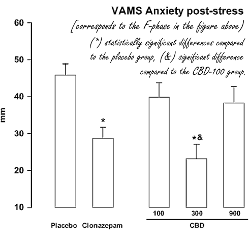 Cannabidiol maakt je binnen drie uur minder verlegen