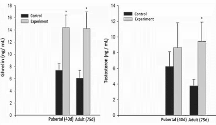 Op een strikt caloriearm dieet? Capsaicine houdt je testosteronspiegel op niveau