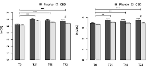 CBD-olie versnelt herstel na zware benentraining
