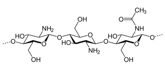 Minder microplastics in je lichaam door chitosan