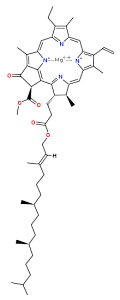 Chlorophyll