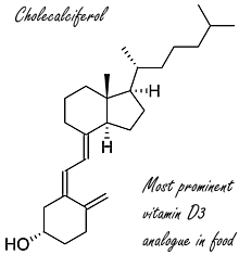 Synthetische variant van vitamine D eldecalcitol vergroot spierkracht