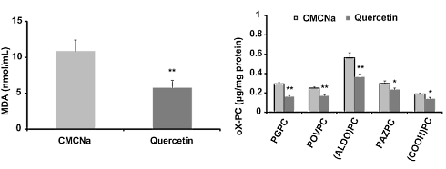 Hoe quercetine bloedvaten beschermt tegen cholesterol