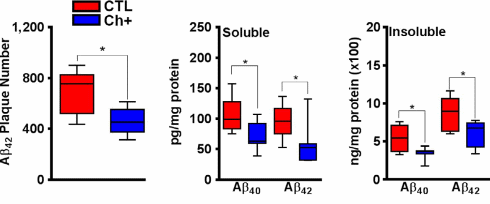 Verhoog je dagelijkse inname van choline, verminder je kans op Alzheimer
