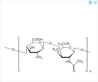 Chondroitine