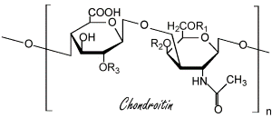 Glucosamine vermindert de kans op overlijden