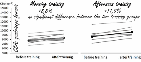 Studie: 's ochtends krachttrainen levert net zoveel spiermassa op als 's middags trainen