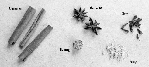 Spelen amfetamines in voeding een rol bij het kerstgevoel?