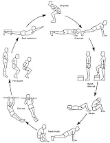 Circuittraining met gewichten levert meer op door suppletie met bèta-alanine