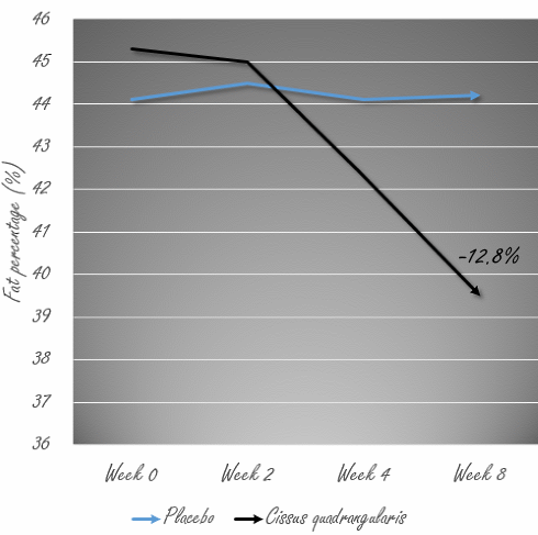 In 2 maanden 7 kilo afslanken met Cissus quadrangularis