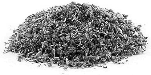 In het Middellandse Zeegebied groeit het plantje Cistus incanus. Van de gedroogde bladeren van die plant kun je thee maken. Drink je dagelijks drie kopjes cistusthee, dan verbetert je cholesterolhuishouding en vermindert de schade die agressieve moleculen in je lichaam aanrichten.