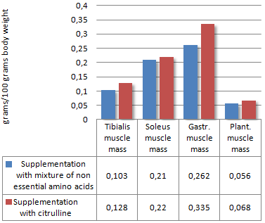 Citrulline vergroot spiermassa en vermindert vetmassa door blokkeren van verouderingsproces