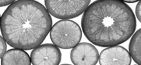 Citrusflavonoid naringenin remt uitzaaien van borstkanker