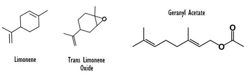 Citroenextract reduceert pijn, maar maakt niet suf