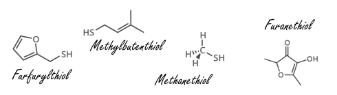 Koffie - een superfood dat je sterftekans vermindert