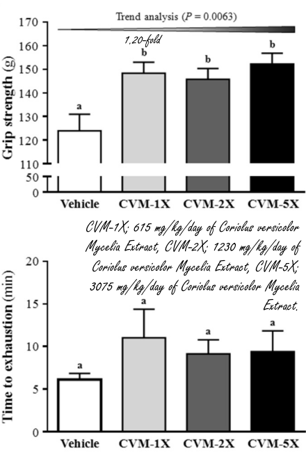 Extract van elfenbankje maakt fitter en sterker