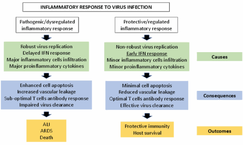 Helpt AHCC tegen het coronavirus?