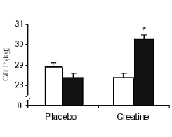 Creatine is pepmiddel voor ouderen