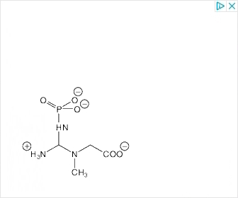 Creatine