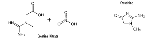 Combinatie van creatinenitraat en creatinine werkt beter dan creatinenitraat of creatinemonohydraat, claimt studie